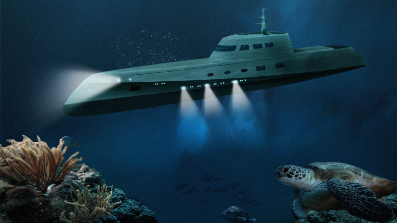 Романтично плаване с подводница за 284 хил. долара (СНИМКИ)