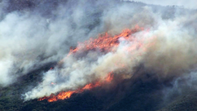 Огнен ад в САЩ, 1700 домове са евакуирани (ВИДЕО)