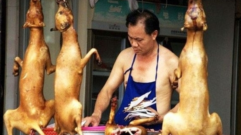 Китайски ресторант в Бургас предлага пълнено куче вместо агне