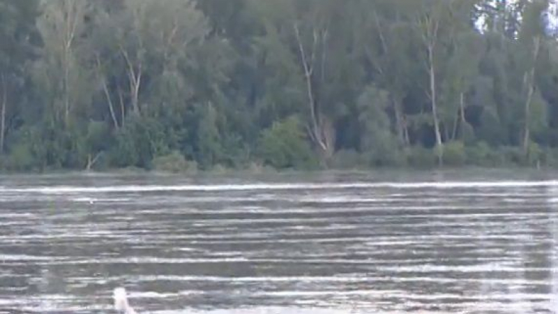 Сръбската стихия стига до България: Нивото на Дунав се покачва опасно бързо