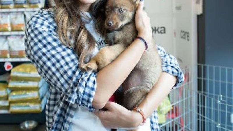 Милена Славова и Никол Станкулова станаха кръстници на две бездомни кученца