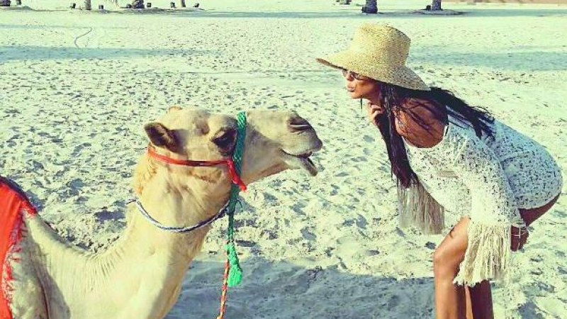 Николета мляска камили в Абу Даби