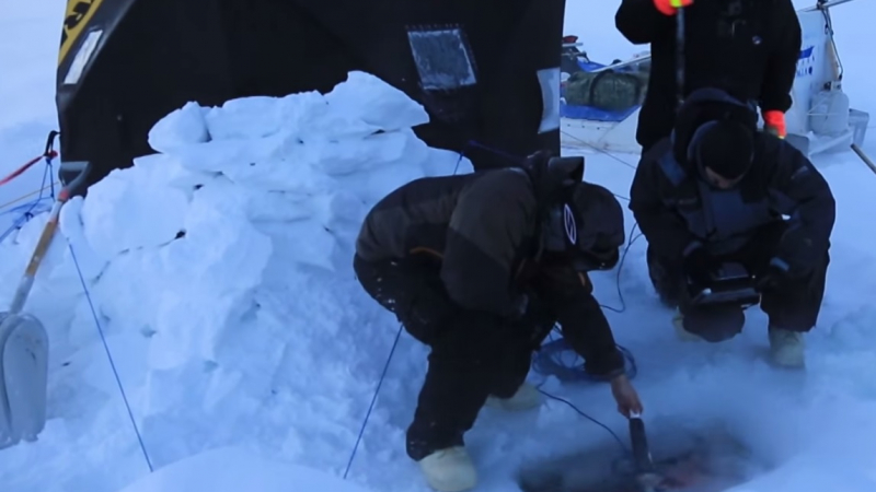 Тестват робот на НАСА под ледовете на Аляска (ВИДЕО)
