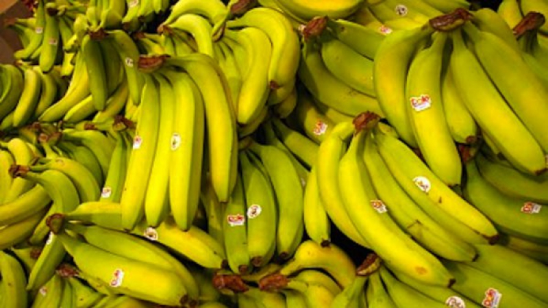 Пуснаха погрешка банани с кока в Португалски супермаркети 