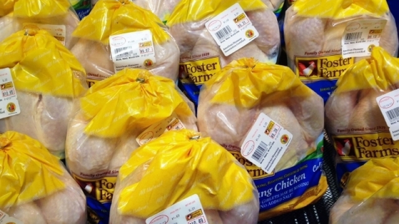 Европа би тревога: На пазара има полски пилета със салмонела