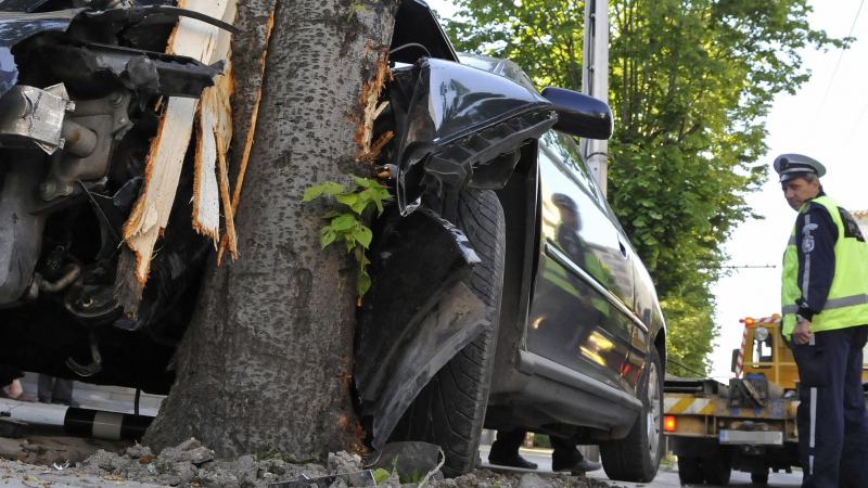Шофьор се уби в дърво край село Търнава