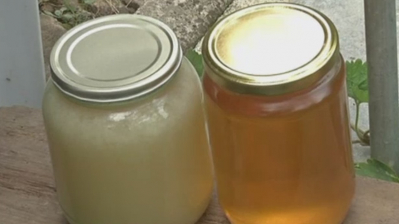Медът ни бъкан от антибиотици, ГМО и пестициди