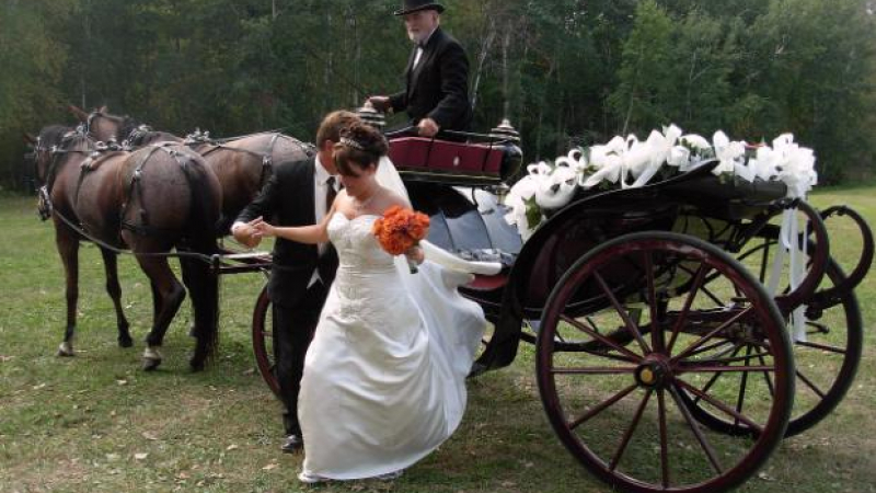 Късметлии младоженци оцеляха в най-шантавата катастрофа у нас 