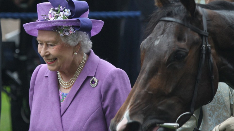 Конят на английската кралица минал на морфин