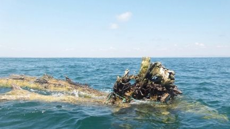 Опасност в морето! Страховито дърво дебне лодки и джетове край Черноморец 