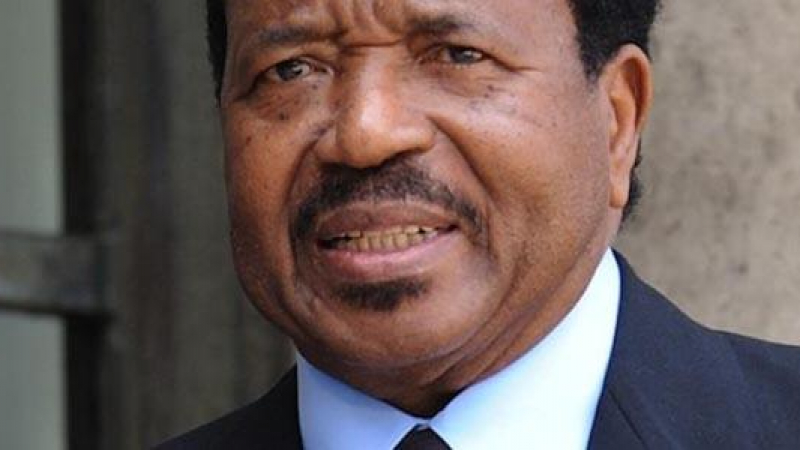 Президентът на Камерун обеща да разгроми „Боко Харам“