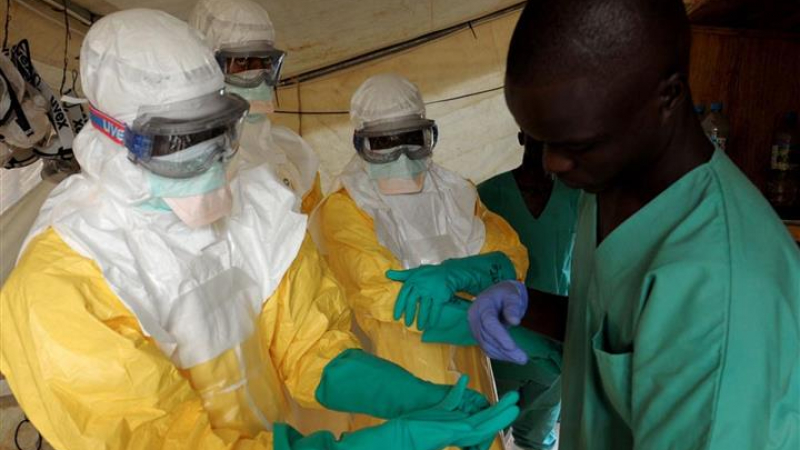 Ваксина срещу Ебола ще бъде готова до лятото на 2015 г. 