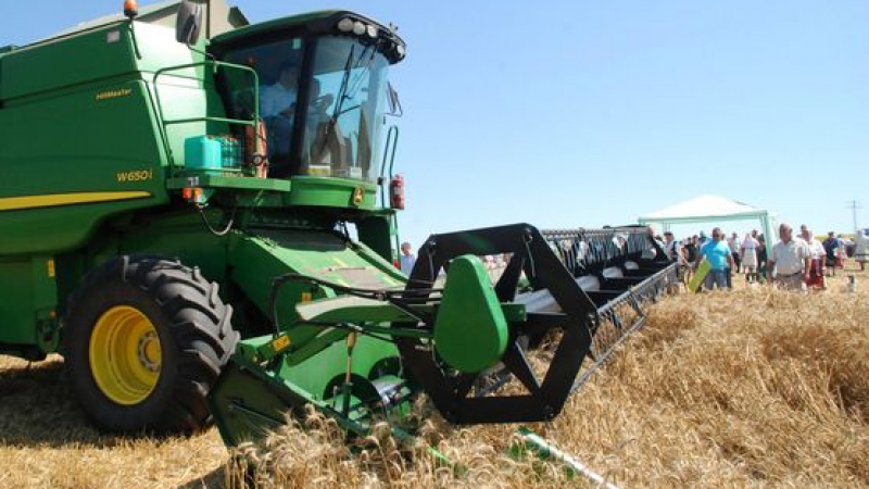 В Добруджа прибраха повече жито от миналата година