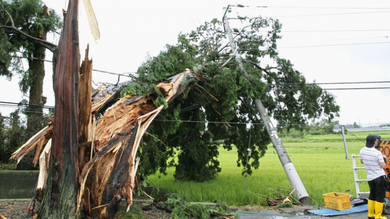 Tайфунът „Халонг” рани двама души в Японя