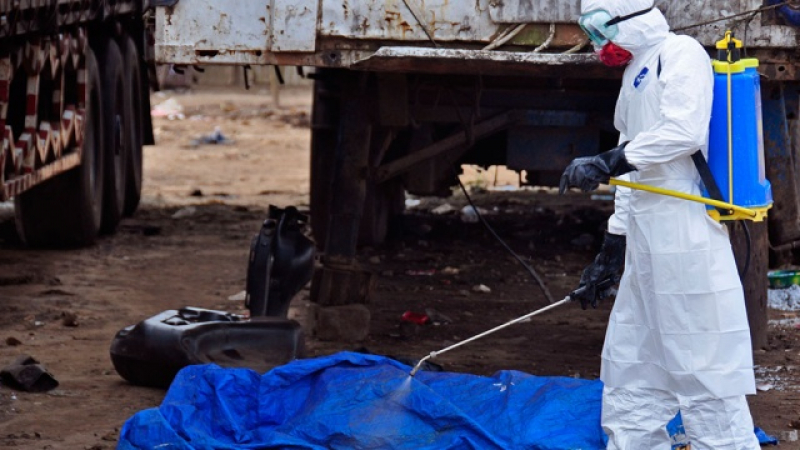 Сърбия е на нокти: 14 души са под наблюдение заради риск от Ебола