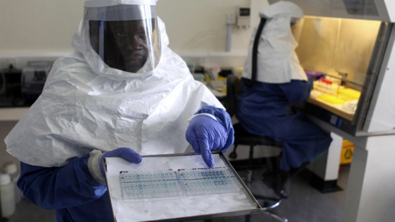 Нигерия вади сензационен цяр срещу ебола!