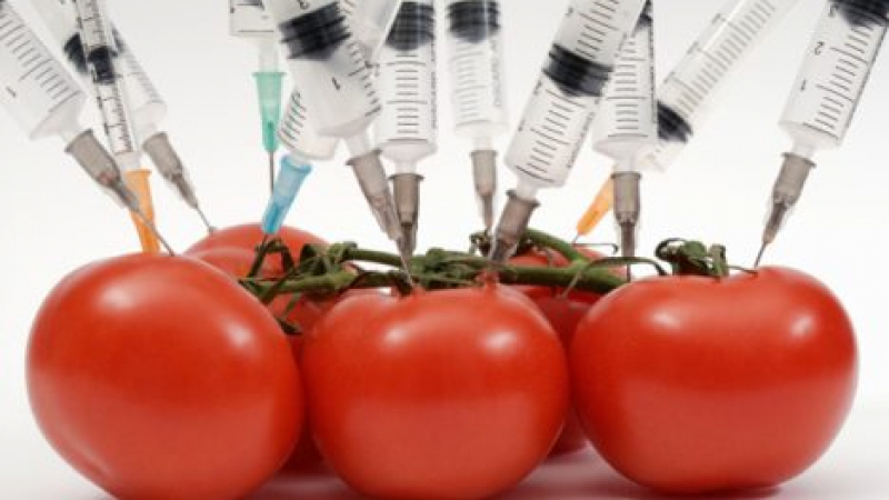 Крият ГМО от българските етикети
