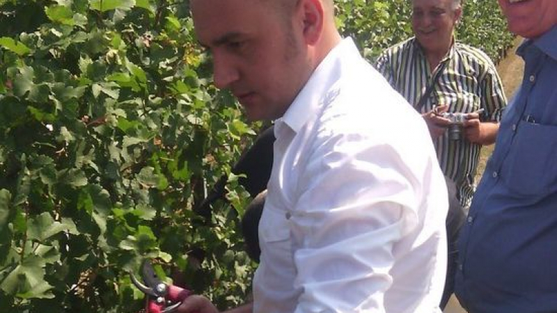 Министър Грудев: Пазарът на вино няма да се повлияе от лошите климатични условия