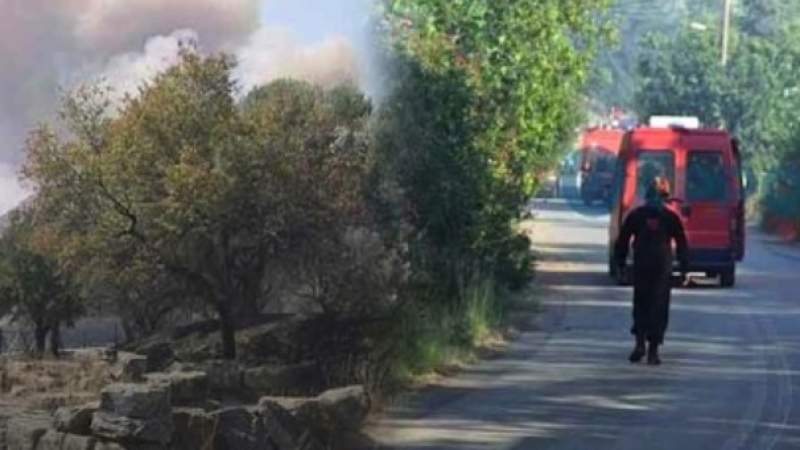 Пожар изпепелява Пелопонес, евакуират цели села