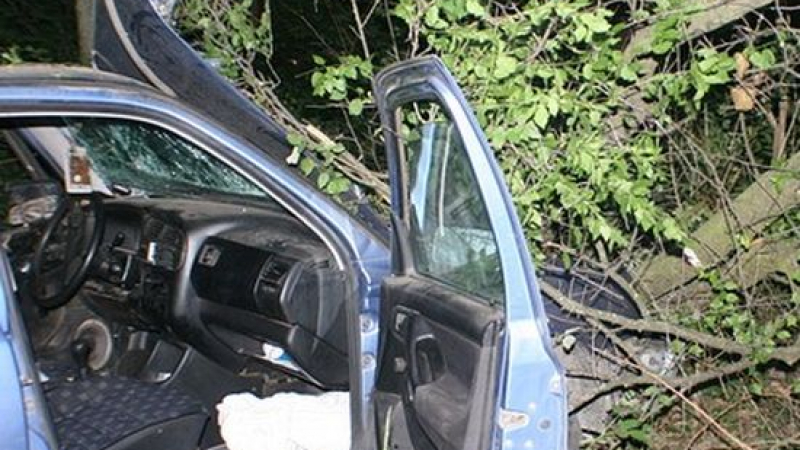 Кола без шофьор потегли, удари дърво, което счупи носа на жена 