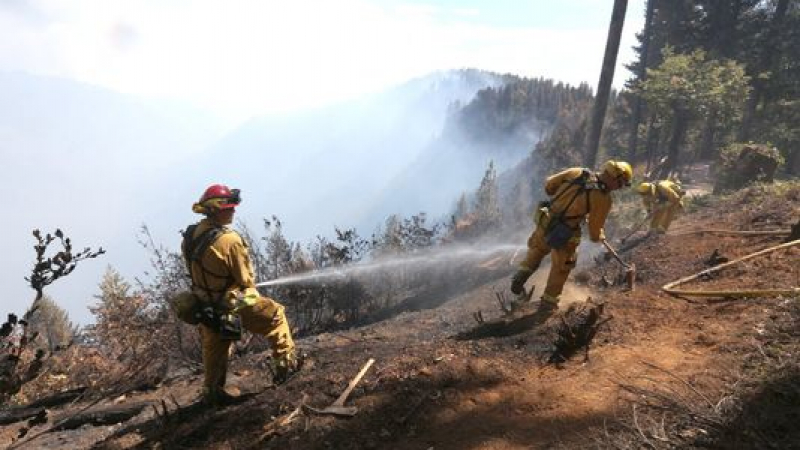 Горски пожари бушуват в Калифорния, хиляди са евакуирани (ВИДЕО)