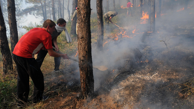 От НИМХ при БАН обявиха екстремален индекс за опасност от пожари