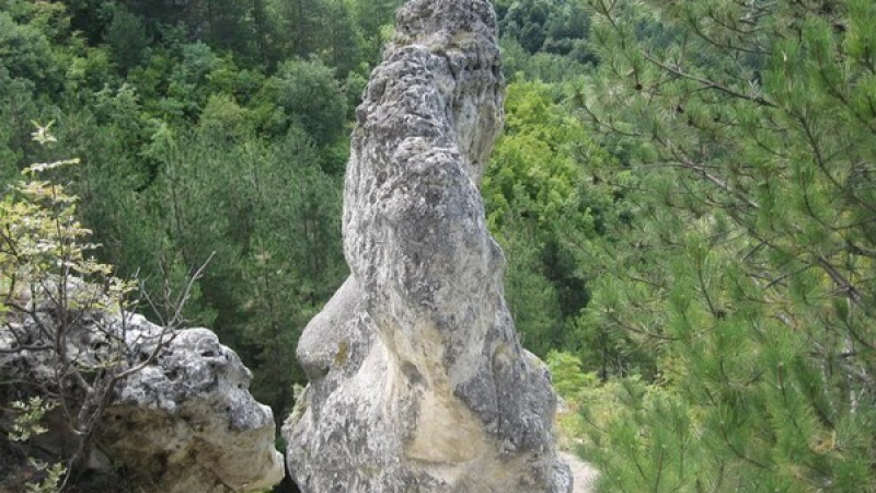 С въжена стълба до скалните манастири по Шуменското плато