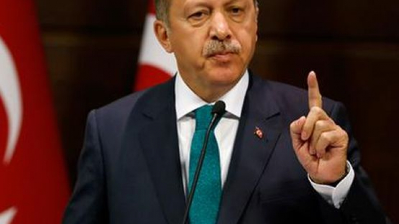 Ердоган подписа закона за ратификацията на споразумението за „Турски поток“