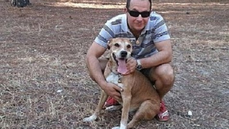 Решиха: Ще убият Ескалибур - кучето на испанката с ебола