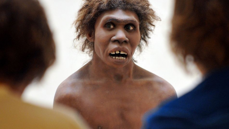 &quot;Индипендънт&quot;: Археолози откриха липсващо звено в еволюцията на човека