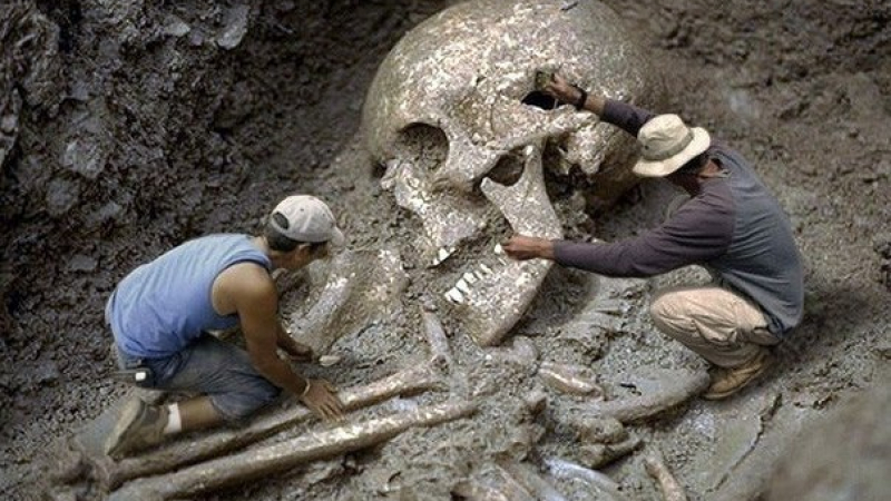 Откриха скелет на гигант в Якутия (СНИМКИ)