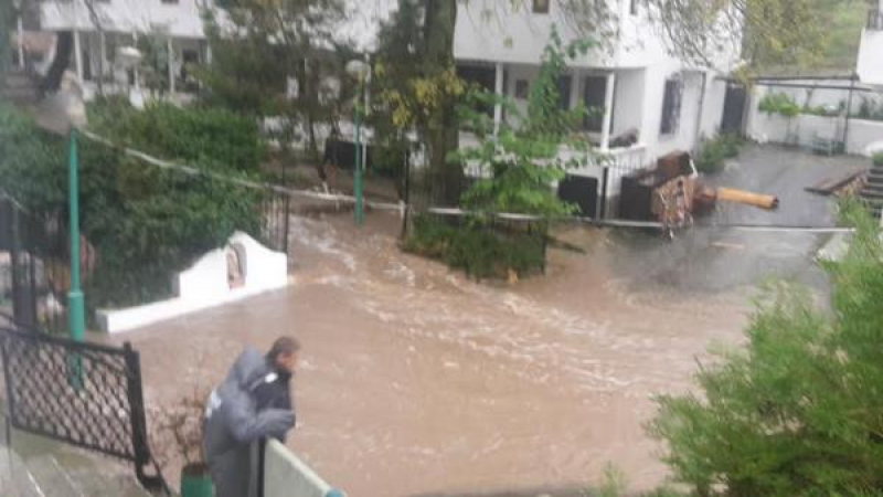 50 евакуирани от вилна зона „Черница“ в Бургас