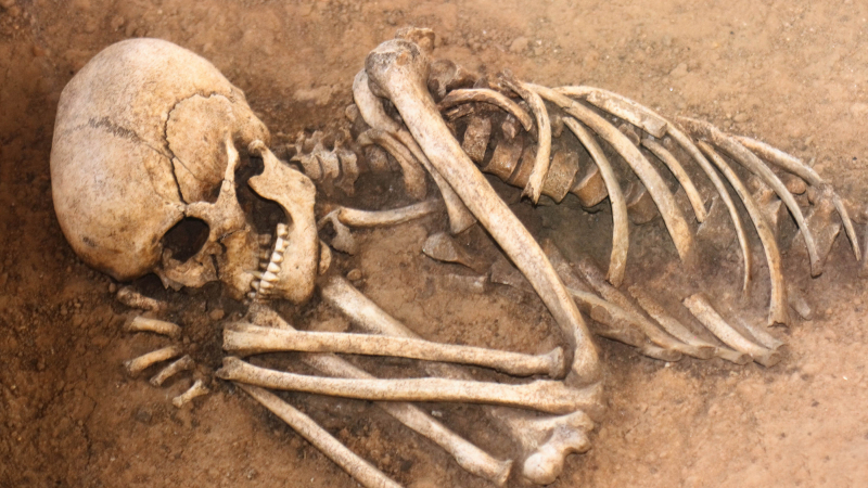 Мистериозен скелет изникна до Бойчиновци