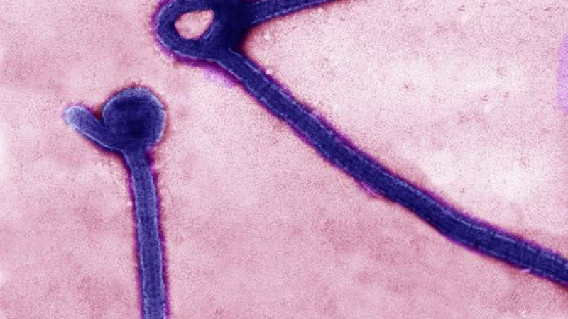 България дава 100 хил. лв. помощ в борбата с ебола