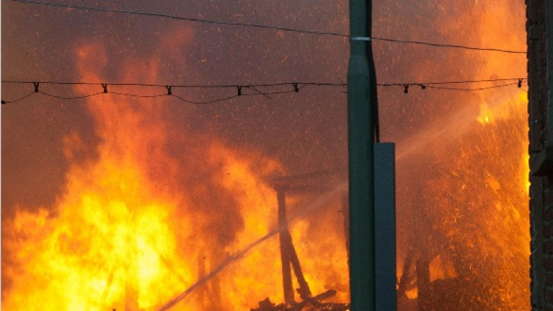 Опустошителен пожар опече 5000 угоени прасета в Пазарджишко