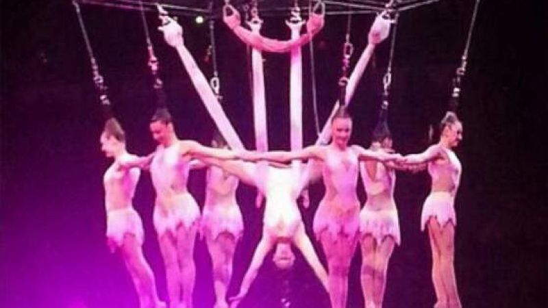 $ 10 милиона обезщетение за потрошени циркови артисти        