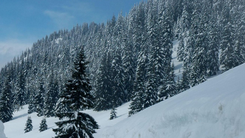 Леко облечен скиор се загуби край Банско