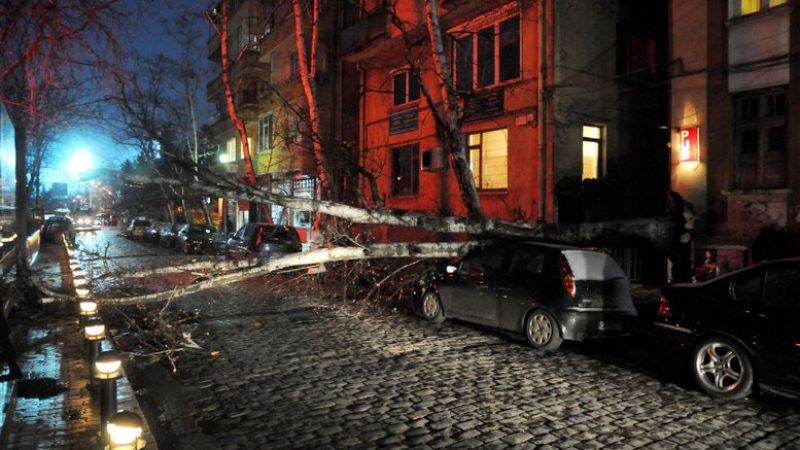Силният вятър в София чупи клони и събаря огради на строежи 