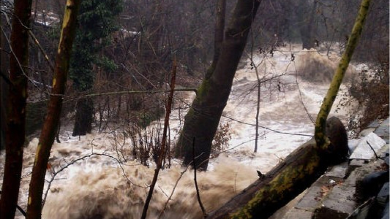 Кметът на Аврен пред БЛИЦ: Реките Провадийска и Камчия преляха, евакуираме три села