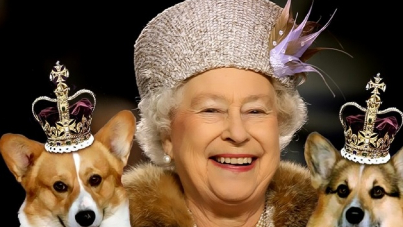 Кралица Елизабет II се отказва от любимите си кучета