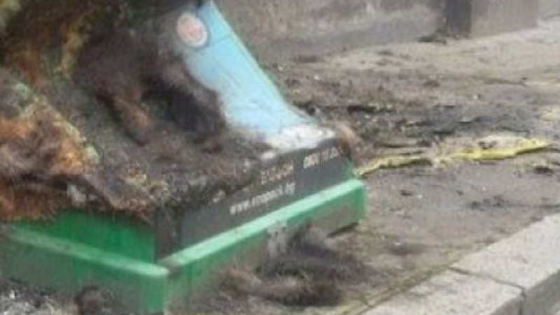 Вандали запалиха контейнери за боклук до училище