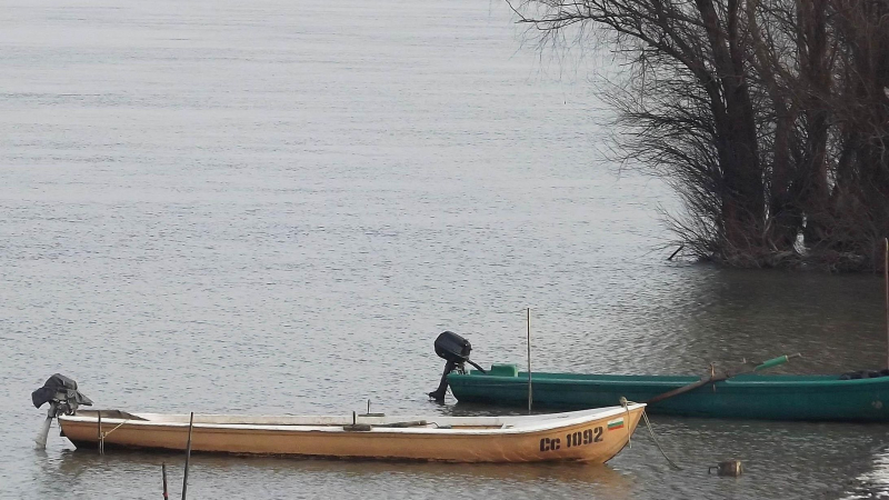 Дунав е чист след потъването на торовите препарати