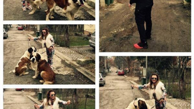 Мария показа кучетата си и луксозната къща, в която живее с Християн Гущеров (СНИМКИ)