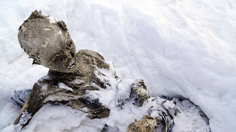Намериха мумиите на алпинисти, изчезнали преди 59 години (СНИМКА 18+)
