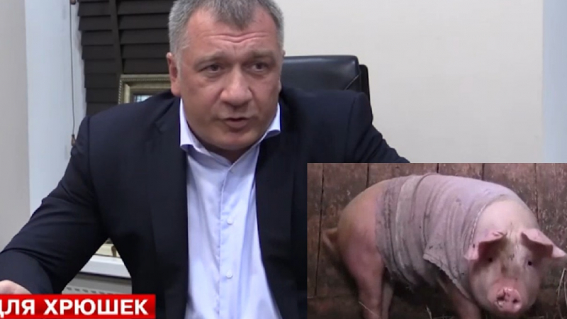 Руски депутат ще храни прасе с минималната работна заплата (ВИДЕО)