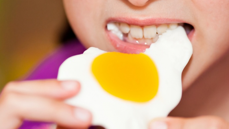 Учени огласиха тайно лечебно свойство на яйцата