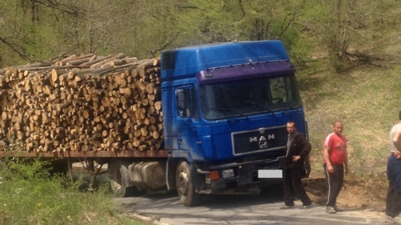 Претоварен камион с крадени дърва блокира път в Странджа (СНИМКИ)