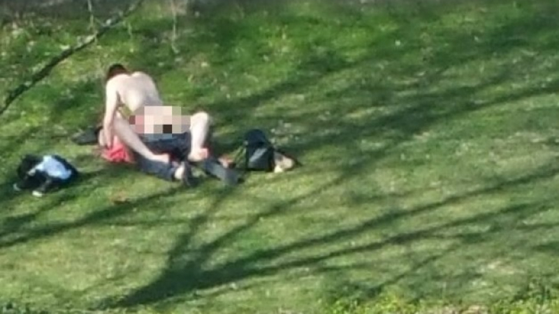 Идиоти правят секс в парка пред стотици (ВИДЕО 18+)