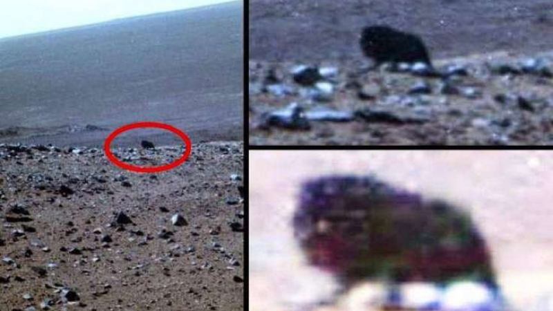 Откриха живо същество на Марс?   