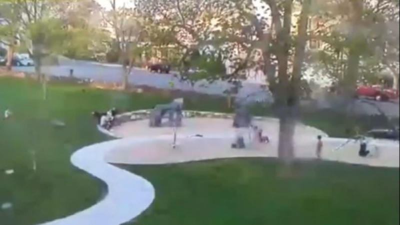 Ужасяваща гледка: Огромно дърво рухна върху детска площадка (ВИДЕО)